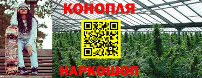 соль ск Будённовск