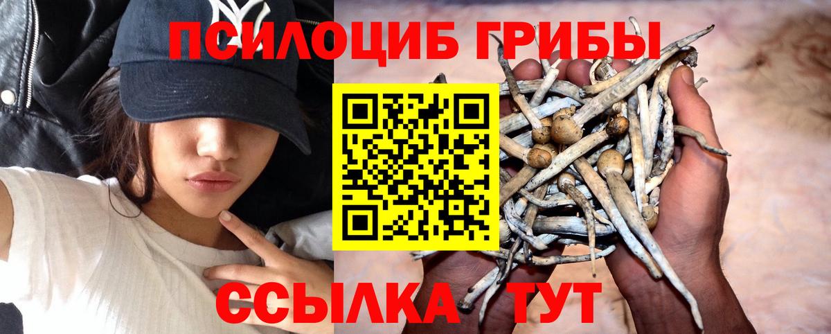 Галлюциногенные грибы ЛСД Карабулак